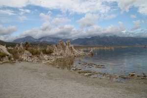 IMG_2580