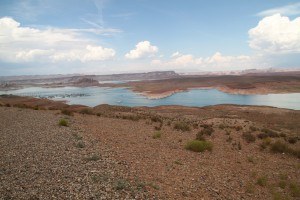 IMG_4762