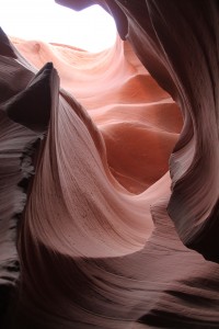 IMG_4902