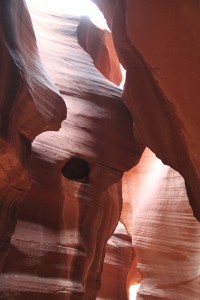 IMG_4971