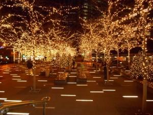 DSCN0094