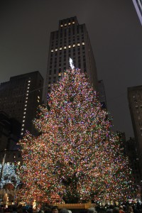 IMG_6645