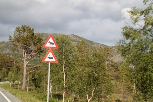 IMG_7429