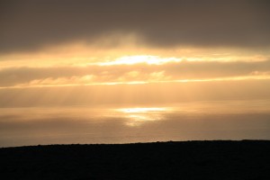 IMG_7672