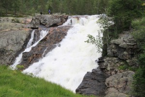IMG_8366