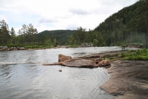IMG_8372