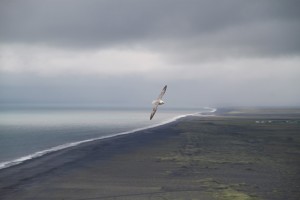 IMG_2038