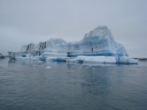 DSC02005